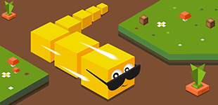 Cuby Dash